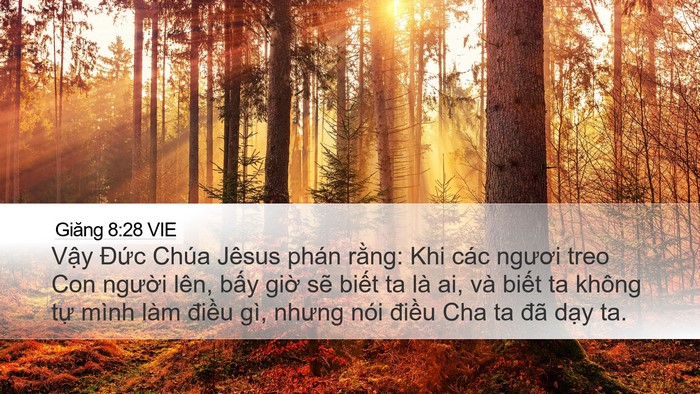 Giăng 8:28 VIE Bible Verse Image