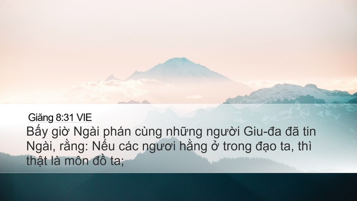Giăng 8:31 VIE Bible Verse Image