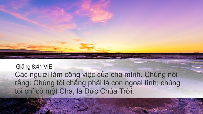 Giăng 8:41 VIE Bible Verse Image