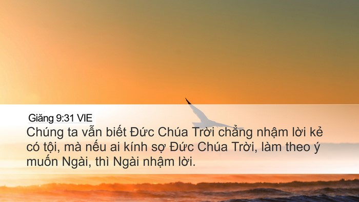 Giăng 9:31 VIE Bible Verse Image