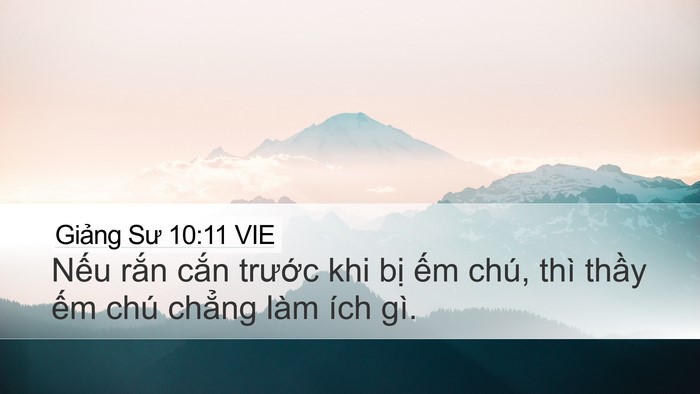 Giảng Sư 10:11 VIE Bible Verse Image
