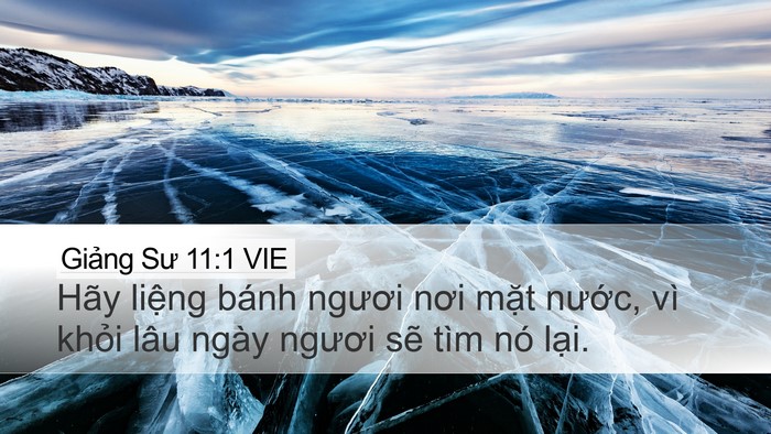 Giảng Sư 11:1 VIE Bible Verse Image