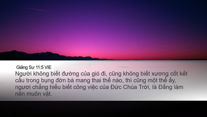 Giảng Sư 11:5 VIE Bible Verse Image