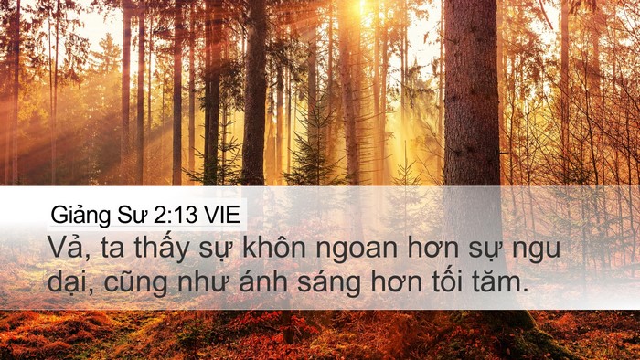 Giảng Sư 2:13 VIE Bible Verse Image