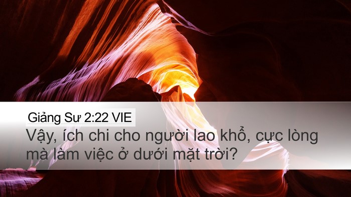 Giảng Sư 2:22 VIE Bible Verse Image
