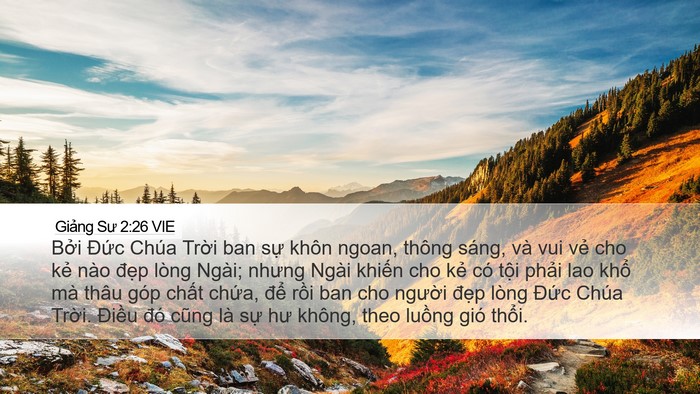 Giảng Sư 2:26 VIE Bible Verse Image