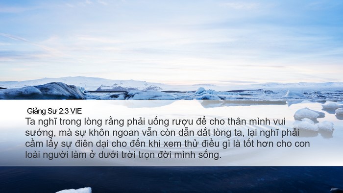 Giảng Sư 2:3 VIE Desktop Wallpaper - Ta nghĩ trong lòng rằng phải uống rượu - Desktop Bible Verse Wallpaper