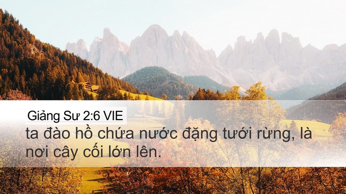 Giảng Sư 2:6 VIE Desktop Wallpaper - ta đào hồ chứa nước đặng tưới - Desktop Bible Verse Wallpaper