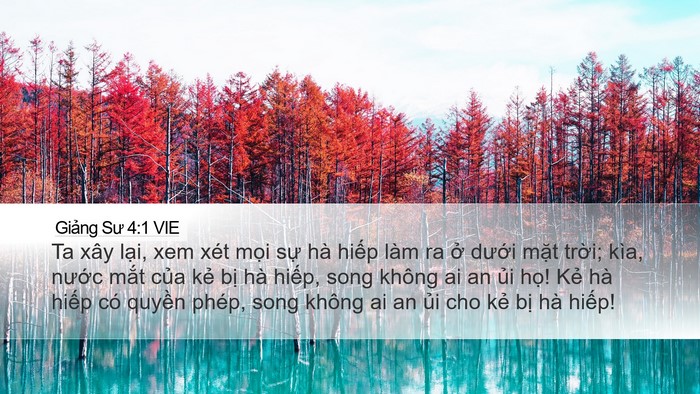Giảng Sư 4:1 VIE Bible Verse Image