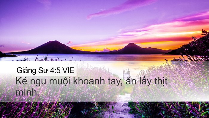 Giảng Sư 4:5 VIE Bible Verse Image