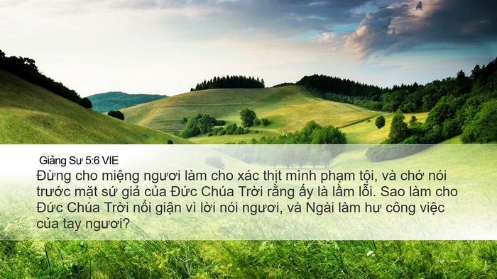 Giảng Sư 5:6 VIE Bible Verse Image