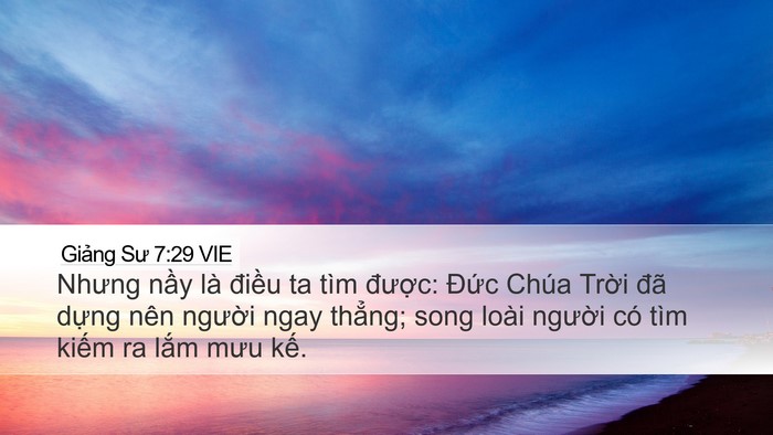 Giảng Sư 7:29 VIE Bible Verse Image