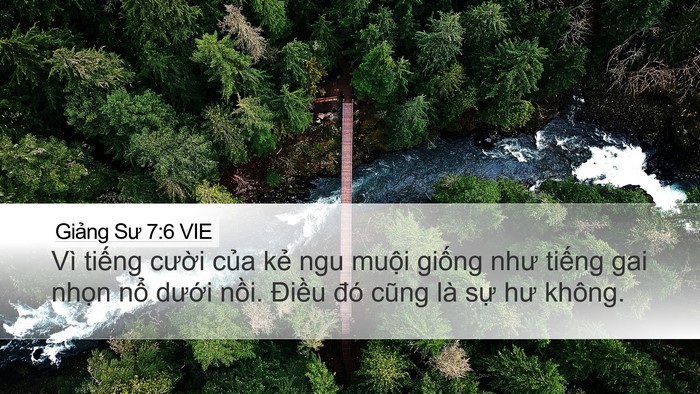 Giảng Sư 7:6 VIE Bible Verse Image