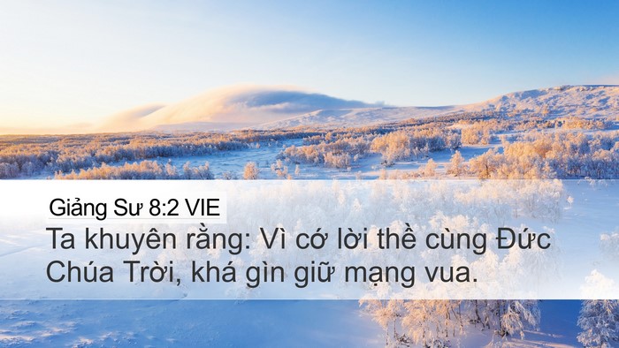 Giảng Sư 8:2 VIE Bible Verse Image