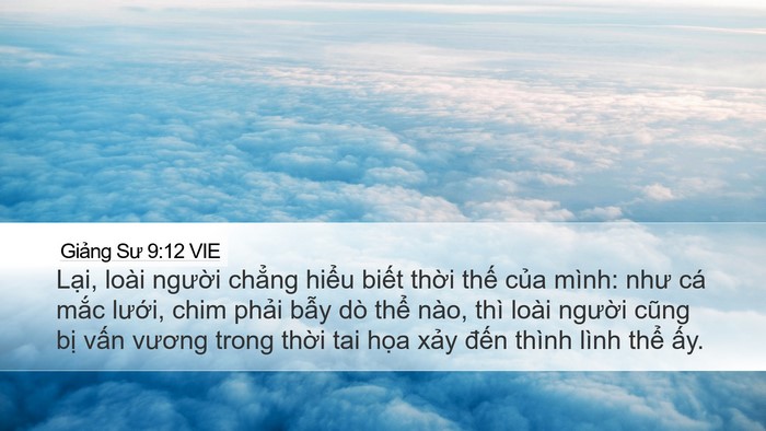 Giảng Sư 9:12 VIE Bible Verse Image