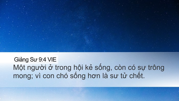 Giảng Sư 9:4 VIE Desktop Wallpaper - Một người ở trong hội kẻ sống, còn - Desktop Bible Verse Wallpaper