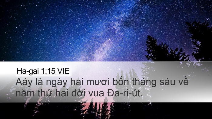 Ha-gai 1:15 VIE Bible Verse Image