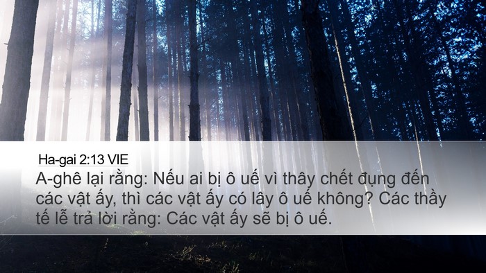 Ha-gai 2:13 VIE Bible Verse Image