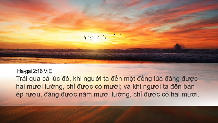 Ha-gai 2:16 VIE Bible Verse Image