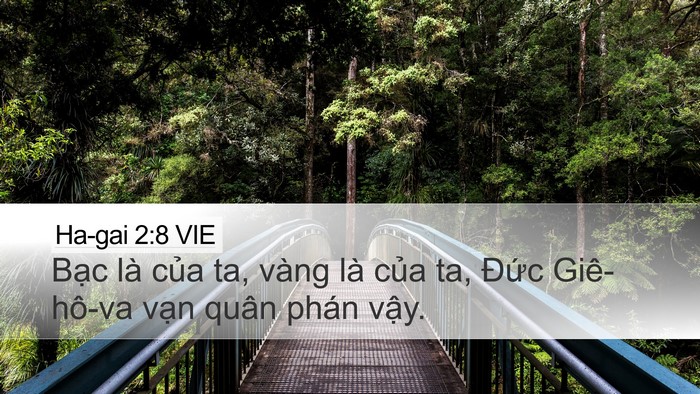 Ha-gai 2:8 VIE Bible Verse Image