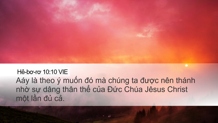 Hê-bơ-rơ 10:10 VIE Bible Verse Image
