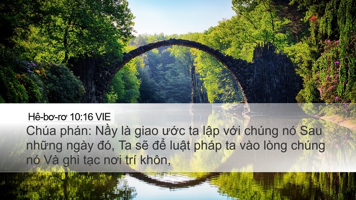 Hê-bơ-rơ 10:16 VIE Bible Verse Image