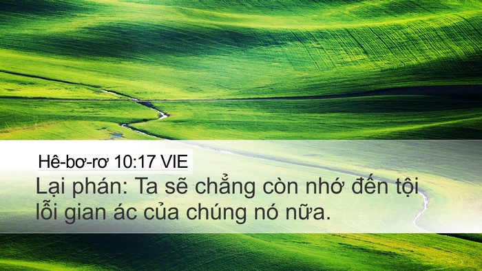 Hê-bơ-rơ 10:17 VIE Bible Verse Image