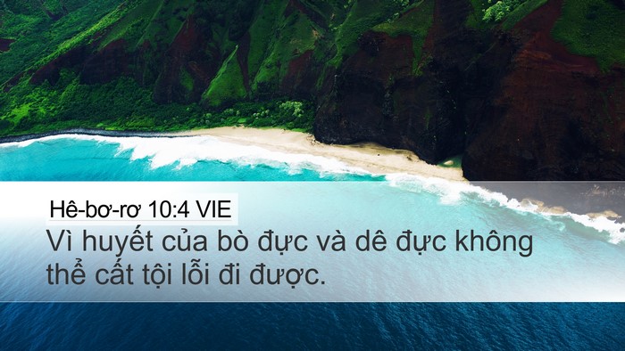 Hê-bơ-rơ 10:4 VIE Bible Verse Image