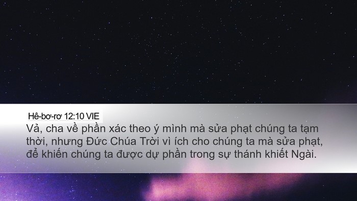Hê-bơ-rơ 12:10 VIE Bible Verse Image