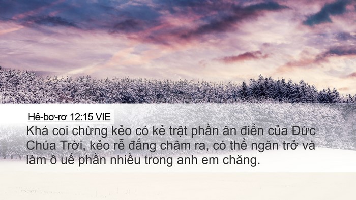 Hê-bơ-rơ 12:15 VIE Bible Verse Image