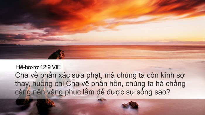 Hê-bơ-rơ 12:9 VIE Bible Verse Image