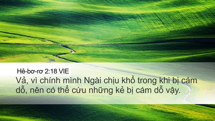 Hê-bơ-rơ 2:18 VIE Bible Verse Image