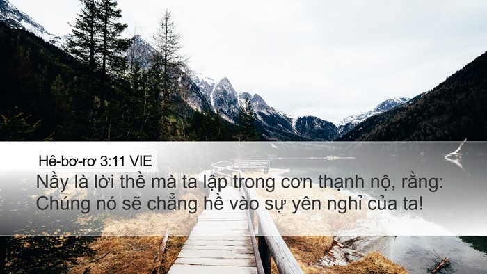 Hê-bơ-rơ 3:11 VIE Bible Verse Image