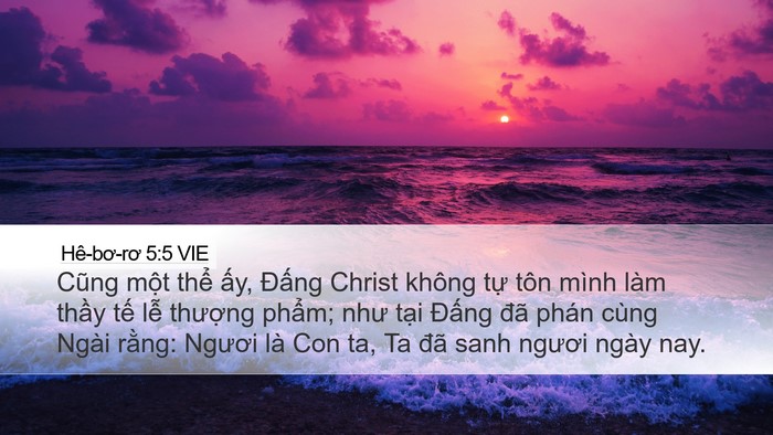 Hê-bơ-rơ 5:5 VIE Bible Verse Image