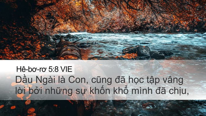 Hê-bơ-rơ 5:8 VIE Bible Verse Image