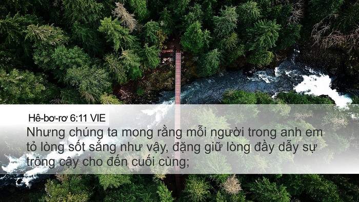 Hê-bơ-rơ 6:11 VIE Bible Verse Image