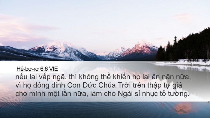 Hê-bơ-rơ 6:6 VIE Bible Verse Image