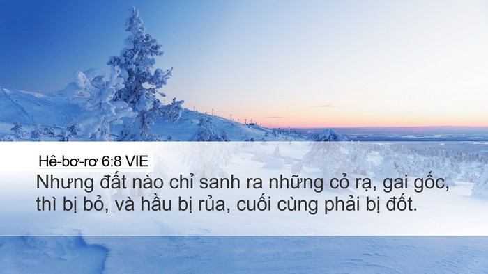 Hê-bơ-rơ 6:8 VIE Bible Verse Image