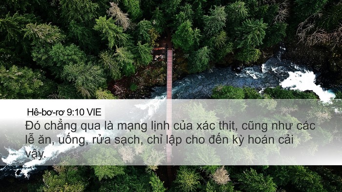 Hê-bơ-rơ 9:10 VIE Bible Verse Image