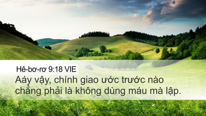 Hê-bơ-rơ 9:18 VIE Bible Verse Image