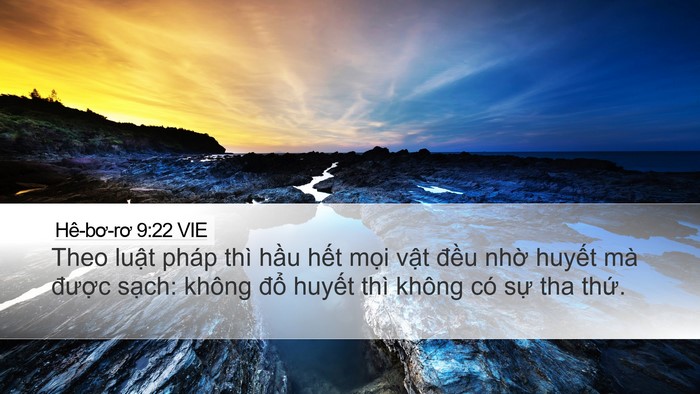 Hê-bơ-rơ 9:22 VIE Bible Verse Image