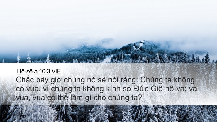 Hô-sê-a 10:3 VIE Bible Verse Image