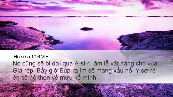 Hô-sê-a 10:6 VIE Bible Verse Image