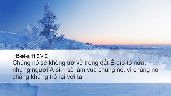 Hô-sê-a 11:5 VIE Bible Verse Image