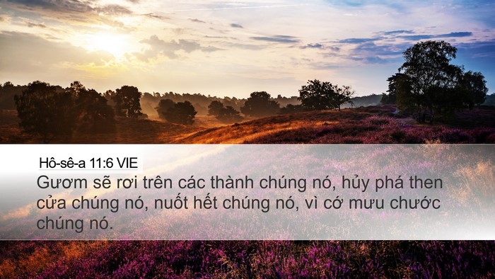 Hô-sê-a 11:6 VIE Bible Verse Image