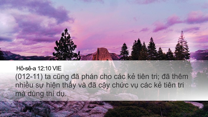 Hô-sê-a 12:10 VIE Bible Verse Image