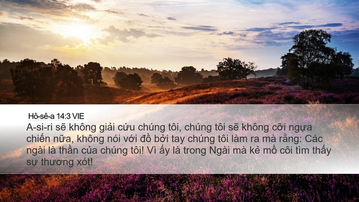 Hô-sê-a 14:3 VIE Bible Verse Image