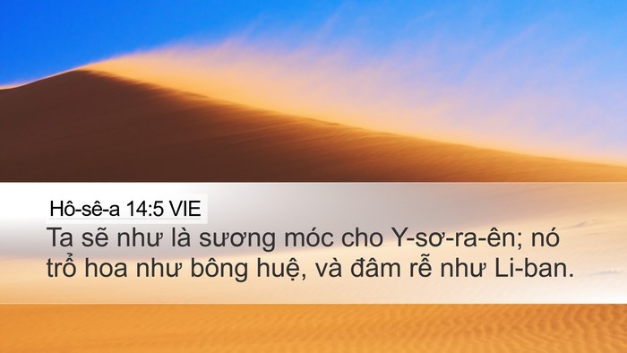 Hô-sê-a 14:5 VIE Bible Verse Image