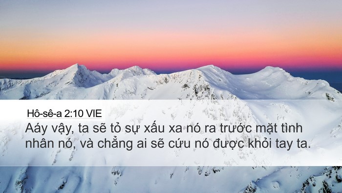 Hô-sê-a 2:10 VIE Bible Verse Image