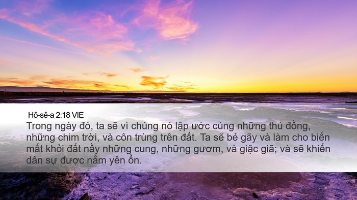 Hô-sê-a 2:18 VIE Bible Verse Image